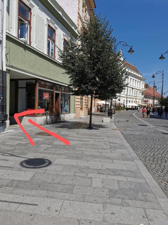 Smart studio sibiu Exterior foto
