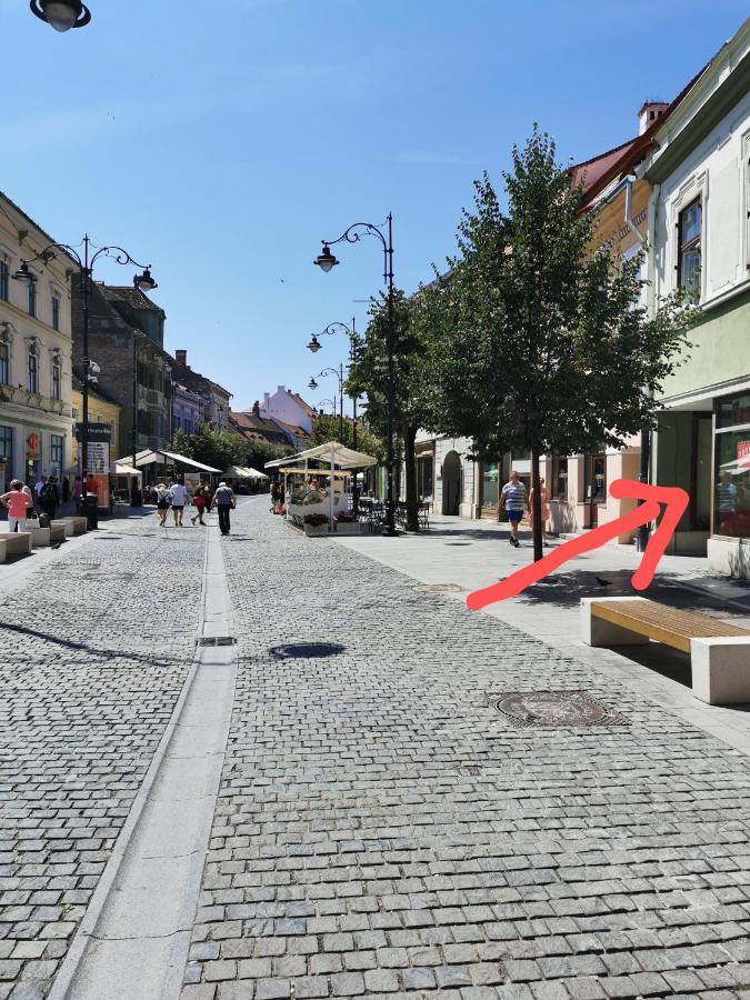 Smart studio sibiu Exterior foto