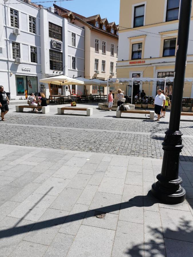 Smart studio sibiu Exterior foto
