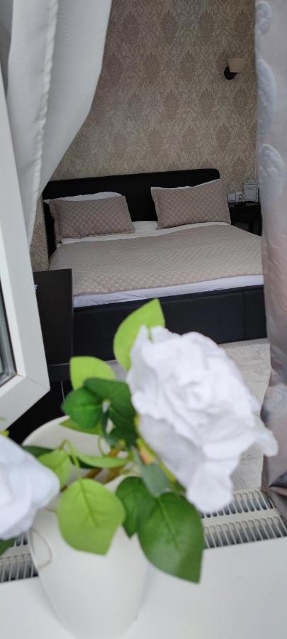 Smart studio sibiu Exterior foto